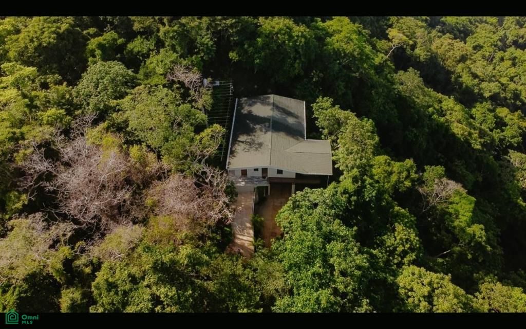 Spectacular Oceanview Retreat in Bellevue Isla Tortuga