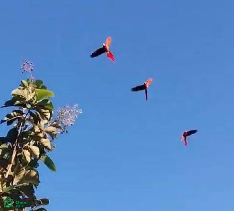 Sunset Hills Paquera