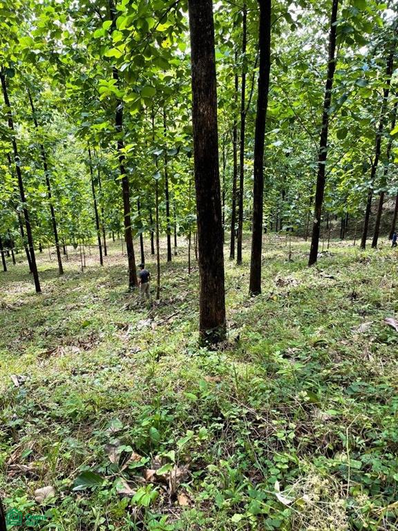 Sunset Hills Paquera