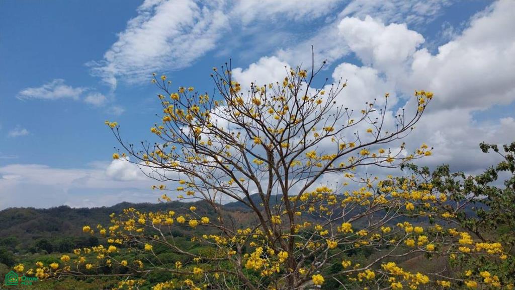 Sunset Hills Paquera