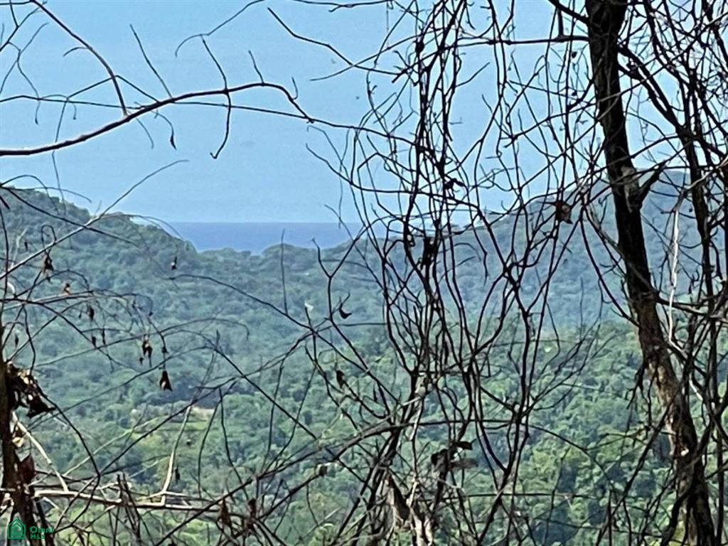 Sunset Hills Paquera