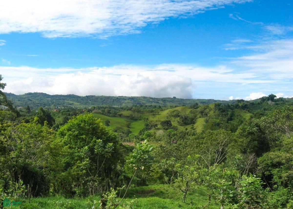 Santa Cecilia de Agua Buena , Agua Buena, Coto Brus, Puntarenas