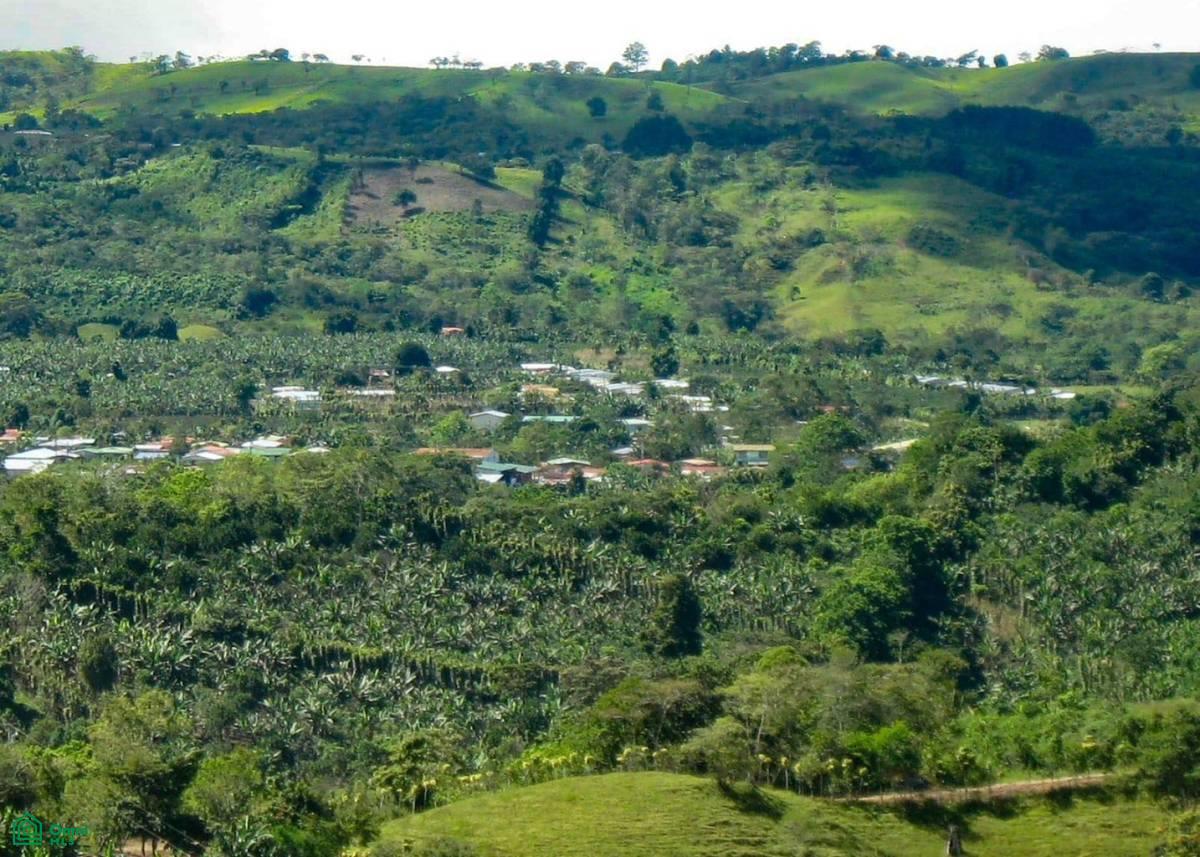 Santa Cecilia de Agua Buena , Agua Buena, Coto Brus, Puntarenas