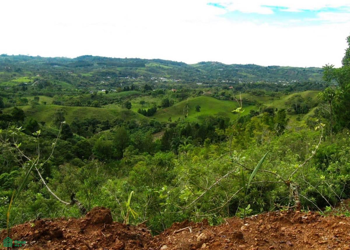 Santa Cecilia de Agua Buena , Agua Buena, Coto Brus, Puntarenas