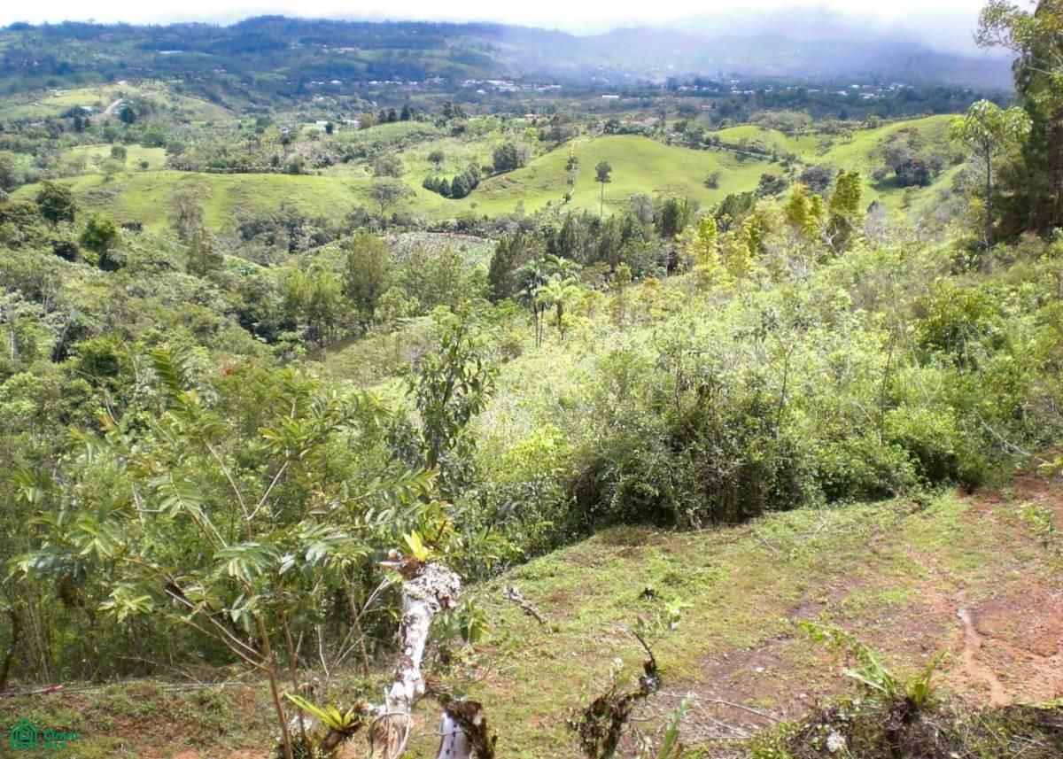 Santa Cecilia de Agua Buena , Agua Buena, Coto Brus, Puntarenas