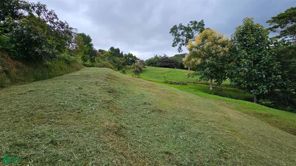 Beautiful lot in Alto Santa Marta , Miravalles, Perez Zeledon, San Jose