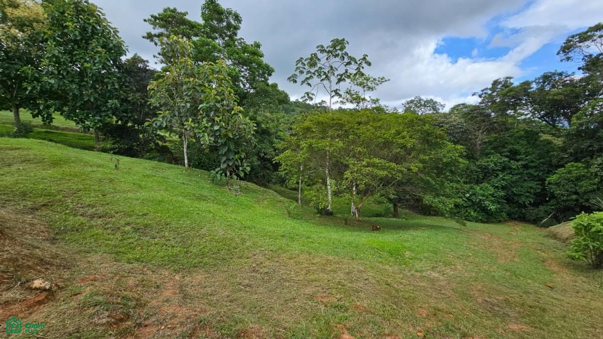Beautiful lot in Alto Santa Marta , Miravalles, Perez Zeledon, San Jose