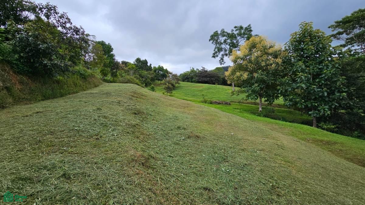 Beautiful lot in Alto Santa Marta , Miravalles, Perez Zeledon, San Jose