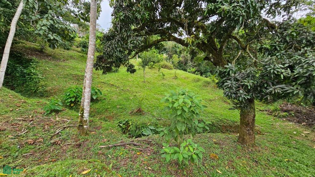 Beautiful lot in Alto Santa Marta , Miravalles, Perez Zeledon, San Jose