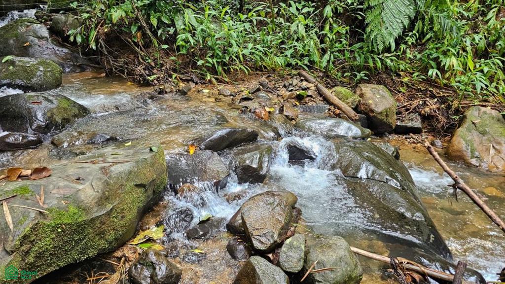 Beautiful lot in Alto Santa Marta , Miravalles, Perez Zeledon, San Jose