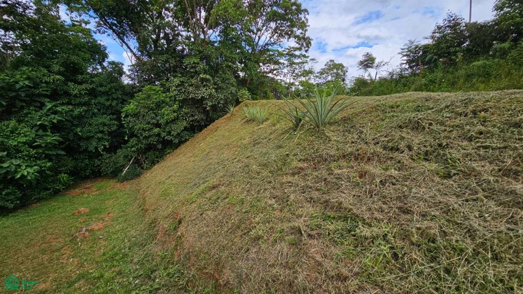 Beautiful lot in Alto Santa Marta , Miravalles, Perez Zeledon, San Jose