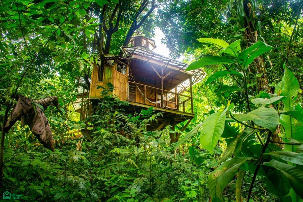 Incredible Turnkey Retreat Center and Sustainable Community , Piedras Blancas, Osa, Puntarenas