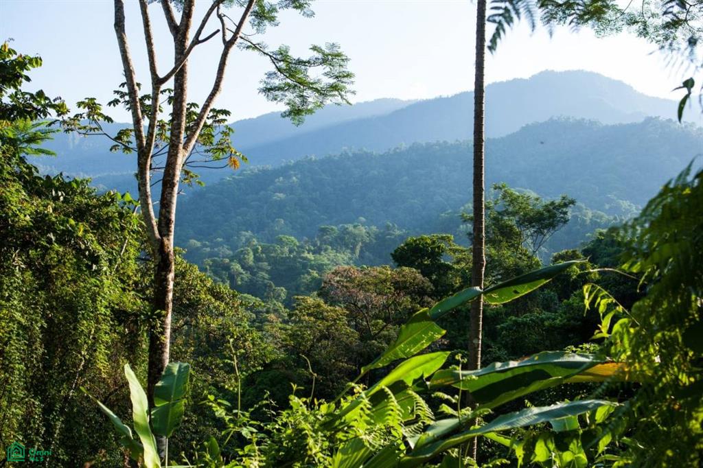 Incredible Turnkey Retreat Center and Sustainable Community , Piedras Blancas, Osa, Puntarenas