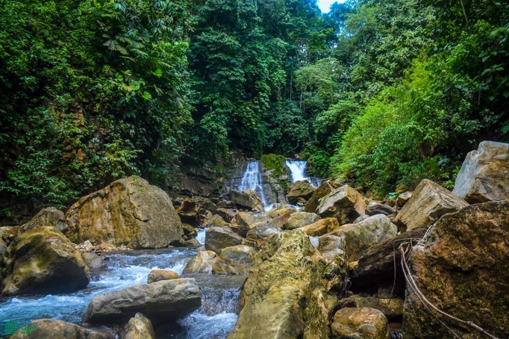 Incredible Turnkey Retreat Center and Sustainable Community , Piedras Blancas, Osa, Puntarenas