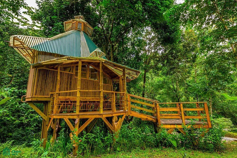 Incredible Turnkey Retreat Center and Sustainable Community , Piedras Blancas, Osa, Puntarenas