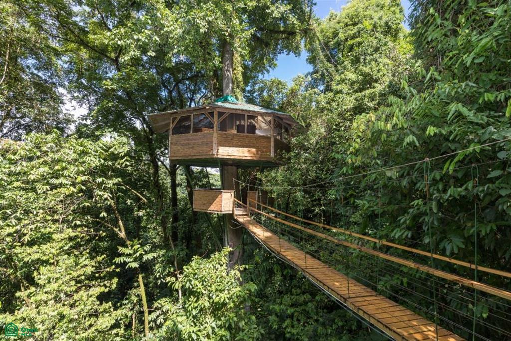 Incredible Turnkey Retreat Center and Sustainable Community , Piedras Blancas, Osa, Puntarenas