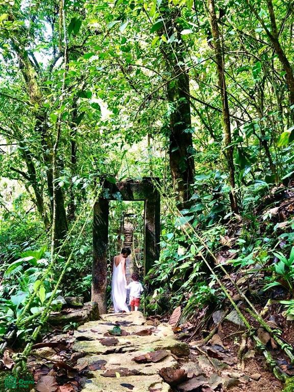 Incredible Turnkey Retreat Center and Sustainable Community , Piedras Blancas, Osa, Puntarenas