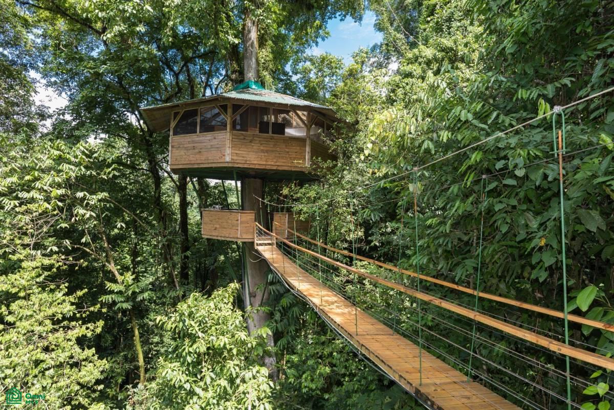 Incredible Turnkey Retreat Center and Sustainable Community , Piedras Blancas, Osa, Puntarenas