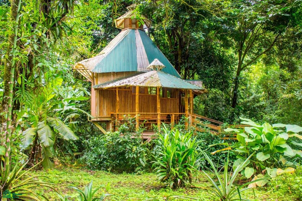 Incredible Turnkey Retreat Center and Sustainable Community , Piedras Blancas, Osa, Puntarenas