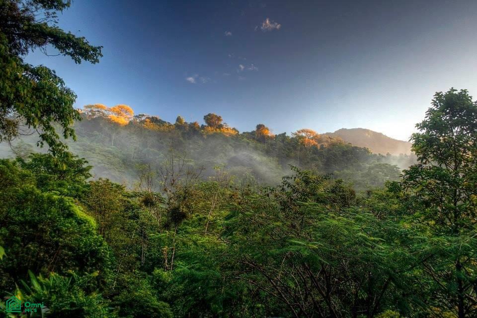 Incredible Turnkey Retreat Center and Sustainable Community , Piedras Blancas, Osa, Puntarenas