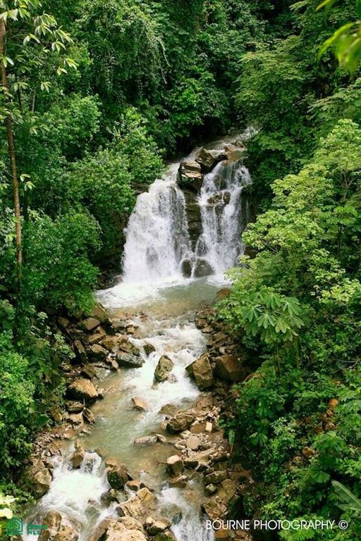 Incredible Turnkey Retreat Center and Sustainable Community , Piedras Blancas, Osa, Puntarenas