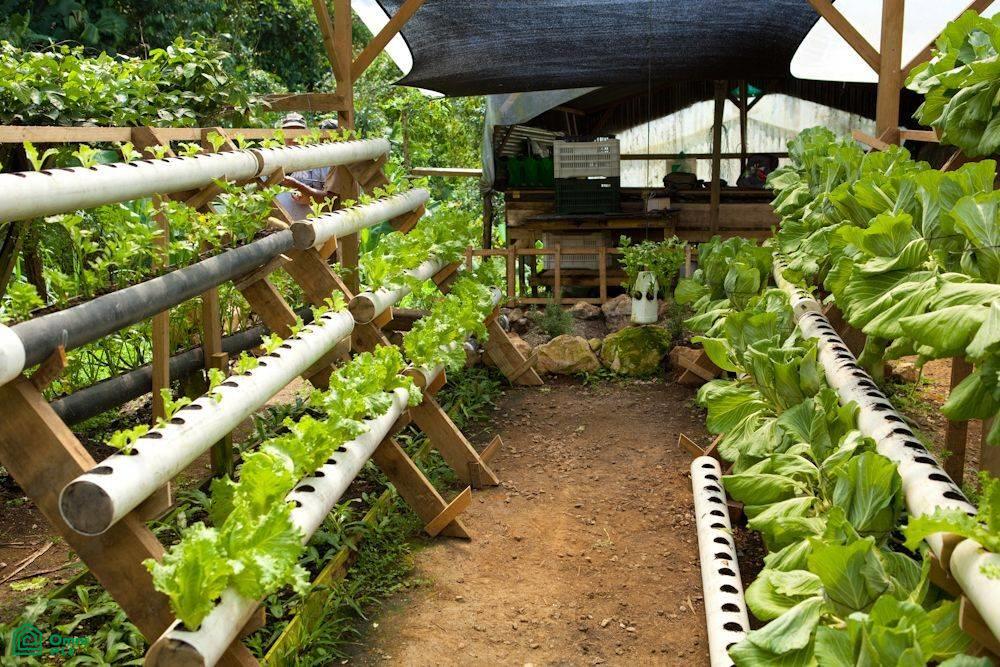 Incredible Turnkey Retreat Center and Sustainable Community , Piedras Blancas, Osa, Puntarenas