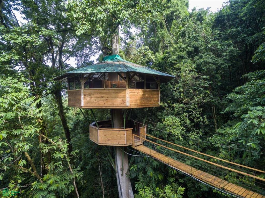 Incredible Turnkey Retreat Center and Sustainable Community , Piedras Blancas, Osa, Puntarenas