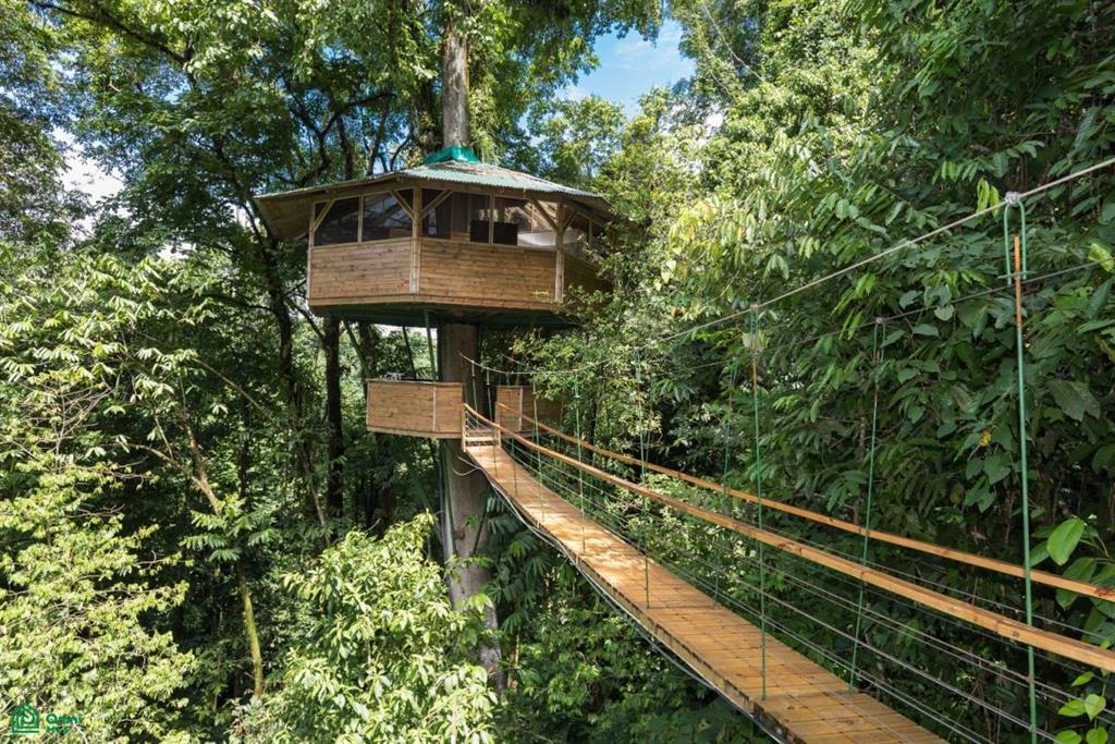 Incredible Turnkey Retreat Center and Sustainable Community , Piedras Blancas, Osa, Puntarenas