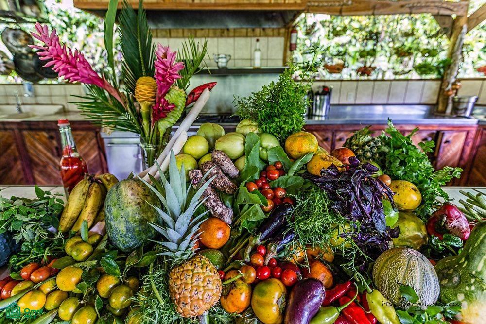 Incredible Turnkey Retreat Center and Sustainable Community , Piedras Blancas, Osa, Puntarenas