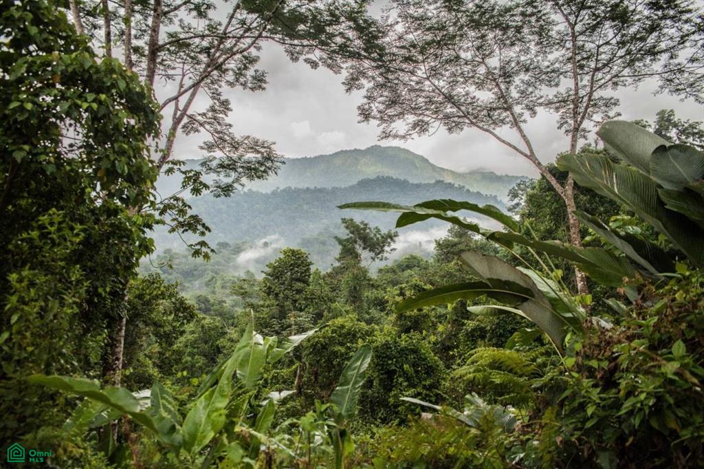 Incredible Turnkey Retreat Center and Sustainable Community , Piedras Blancas, Osa, Puntarenas