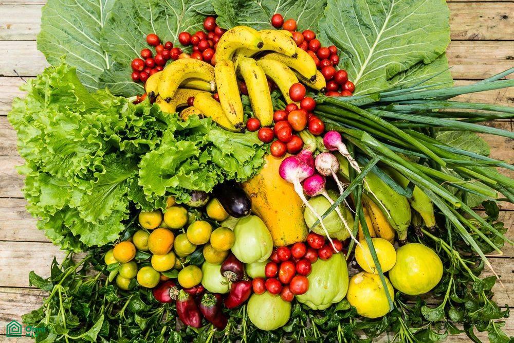 Incredible Turnkey Retreat Center and Sustainable Community , Piedras Blancas, Osa, Puntarenas