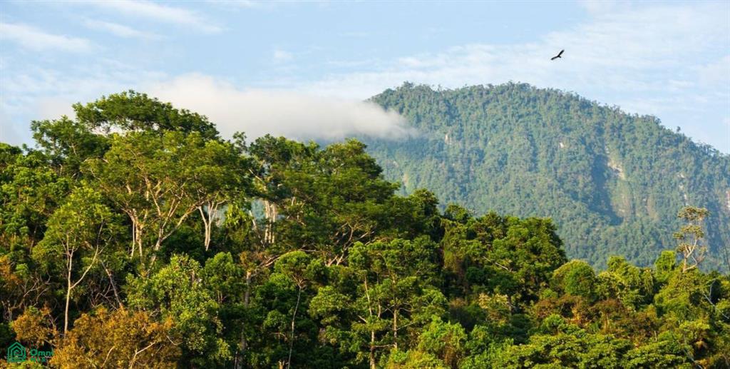 Incredible Turnkey Retreat Center and Sustainable Community , Piedras Blancas, Osa, Puntarenas