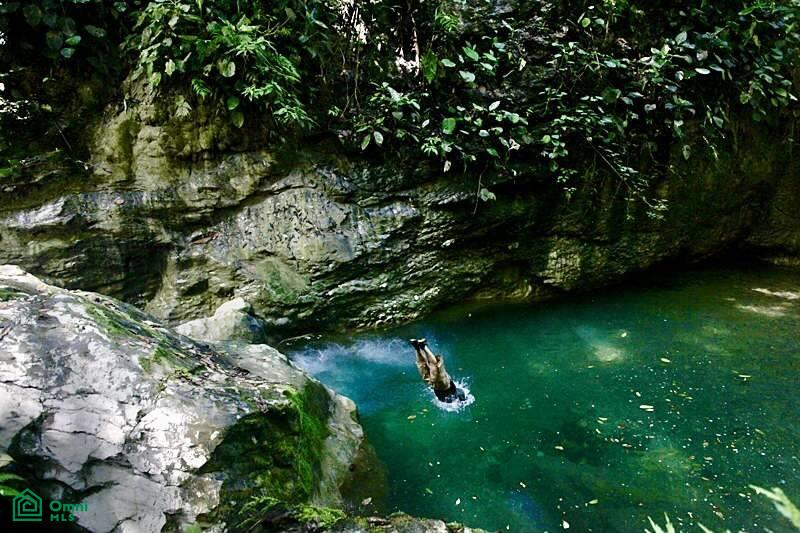 Incredible Turnkey Retreat Center and Sustainable Community , Piedras Blancas, Osa, Puntarenas