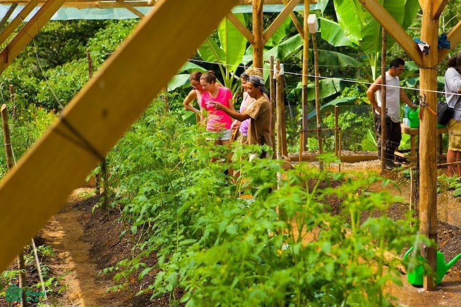 Incredible Turnkey Retreat Center and Sustainable Community , Piedras Blancas, Osa, Puntarenas