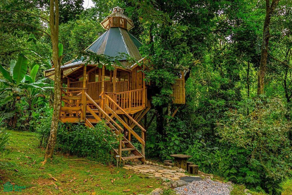 Incredible Turnkey Retreat Center and Sustainable Community , Piedras Blancas, Osa, Puntarenas