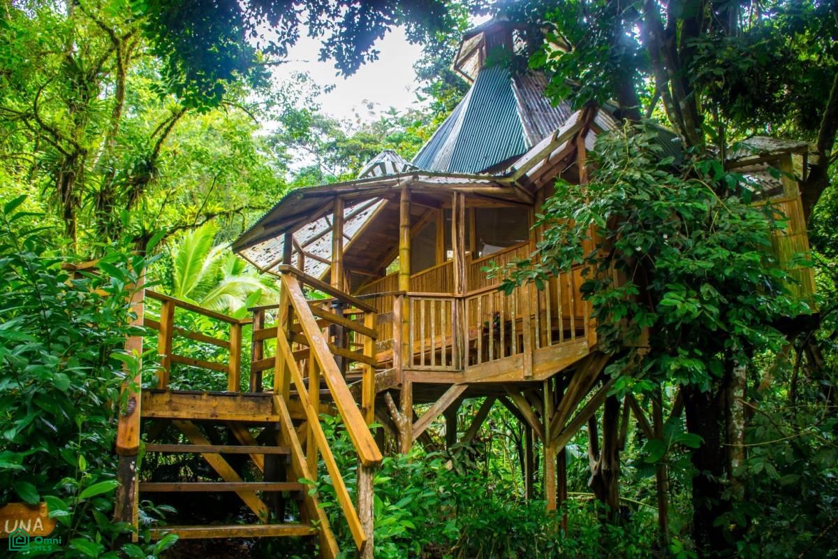 Incredible Turnkey Retreat Center and Sustainable Community , Piedras Blancas, Osa, Puntarenas