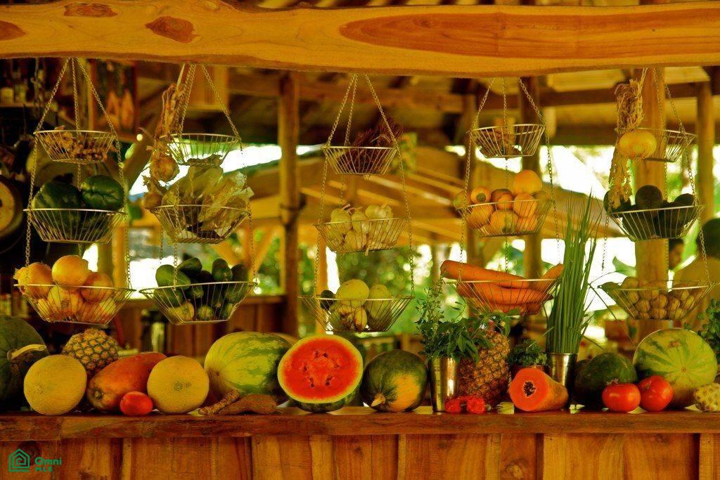 Incredible Turnkey Retreat Center and Sustainable Community , Piedras Blancas, Osa, Puntarenas