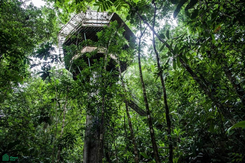 Incredible Turnkey Retreat Center and Sustainable Community , Piedras Blancas, Osa, Puntarenas