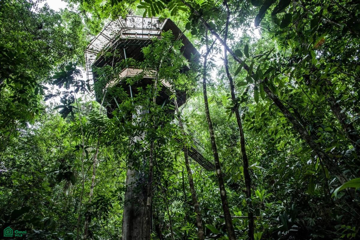 Incredible Turnkey Retreat Center and Sustainable Community , Piedras Blancas, Osa, Puntarenas
