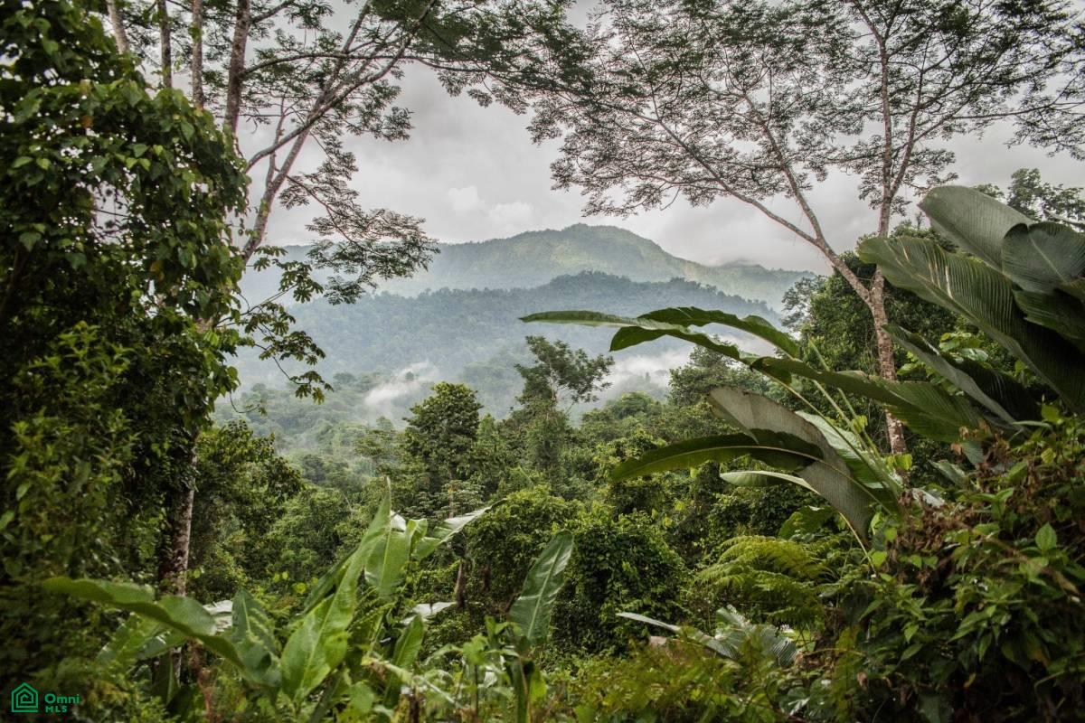Incredible Turnkey Retreat Center and Sustainable Community , Piedras Blancas, Osa, Puntarenas