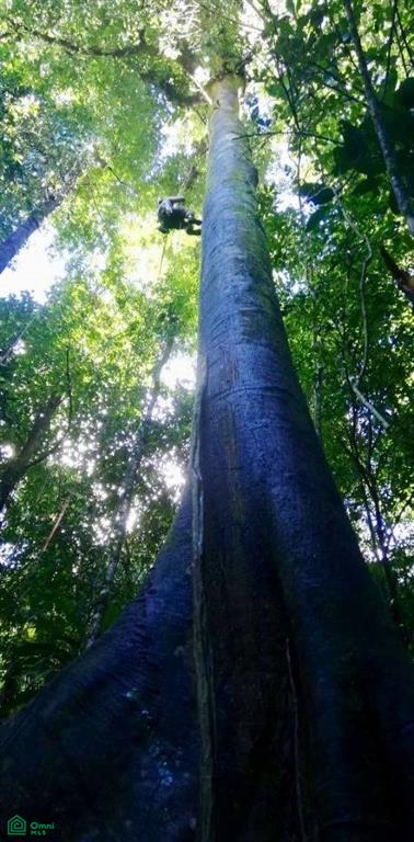 Incredible Turnkey Retreat Center and Sustainable Community , Piedras Blancas, Osa, Puntarenas