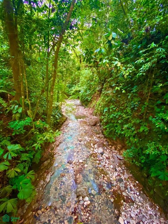 Incredible Turnkey Retreat Center and Sustainable Community , Piedras Blancas, Osa, Puntarenas