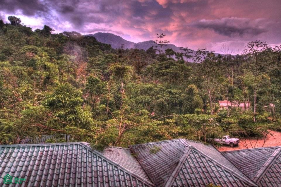Incredible Turnkey Retreat Center and Sustainable Community , Piedras Blancas, Osa, Puntarenas