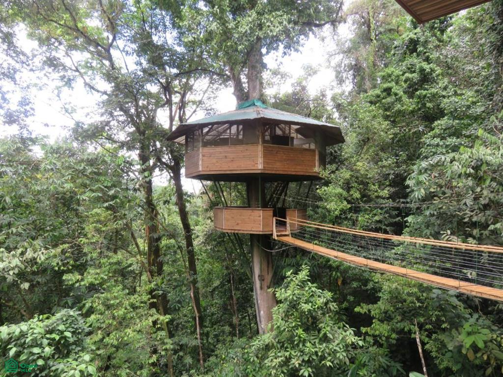 Incredible Turnkey Retreat Center and Sustainable Community , Piedras Blancas, Osa, Puntarenas