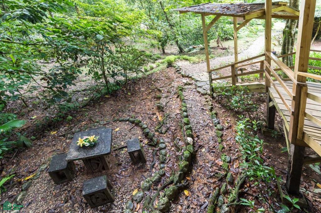 Incredible Turnkey Retreat Center and Sustainable Community , Piedras Blancas, Osa, Puntarenas