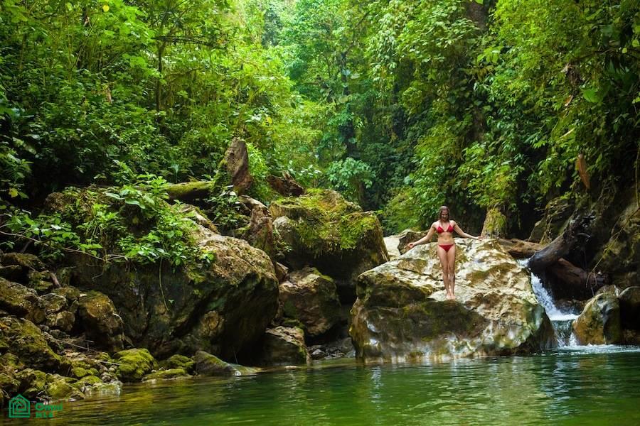 Incredible Turnkey Retreat Center and Sustainable Community , Piedras Blancas, Osa, Puntarenas