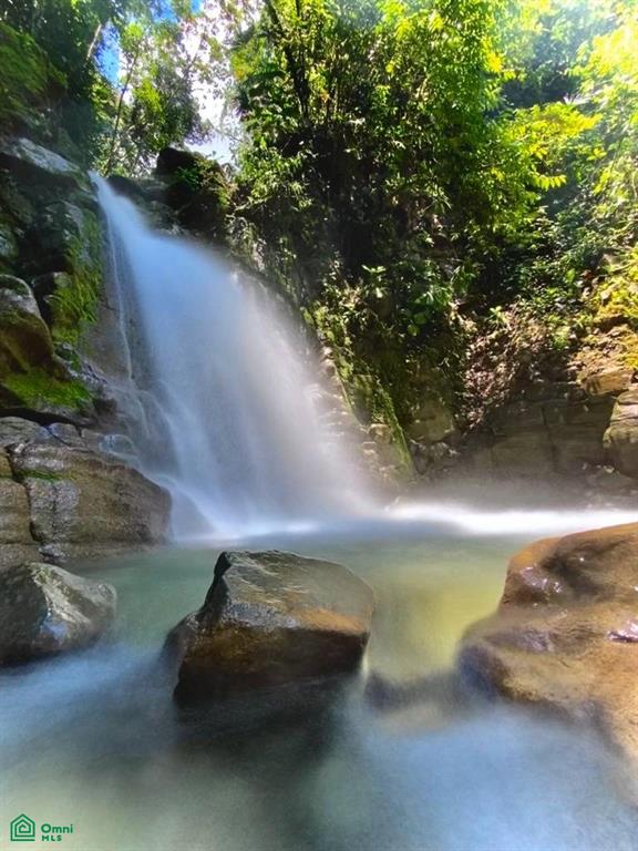 Incredible Turnkey Retreat Center and Sustainable Community , Piedras Blancas, Osa, Puntarenas