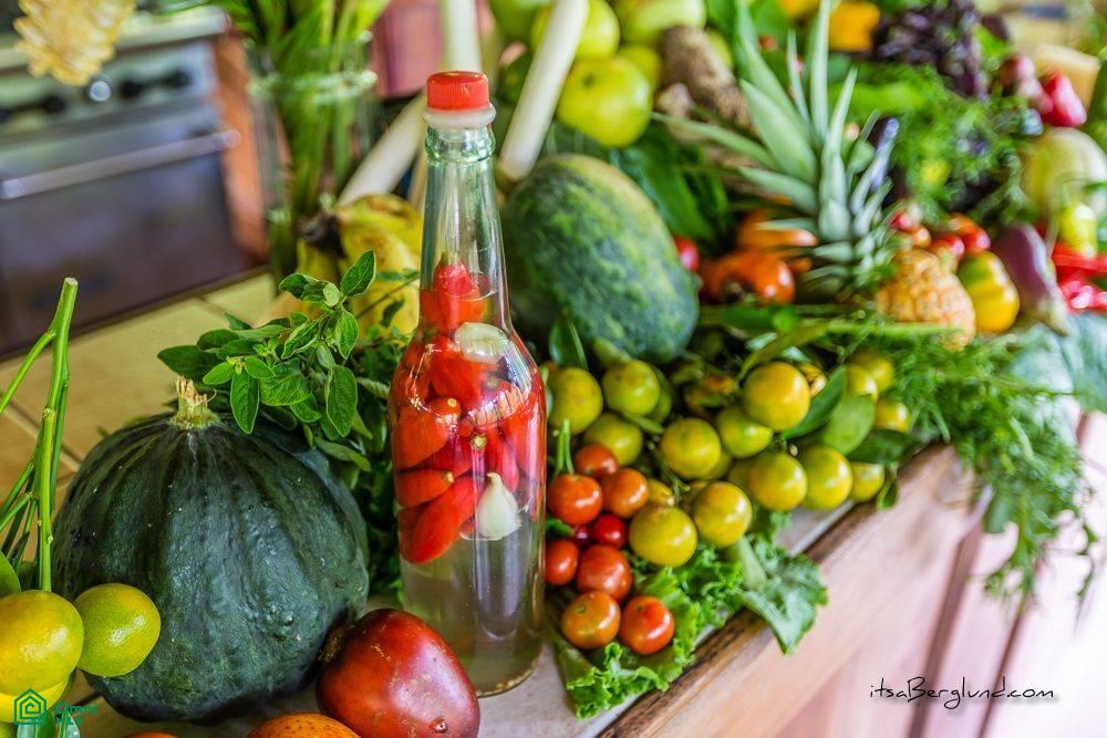 Incredible Turnkey Retreat Center and Sustainable Community , Piedras Blancas, Osa, Puntarenas