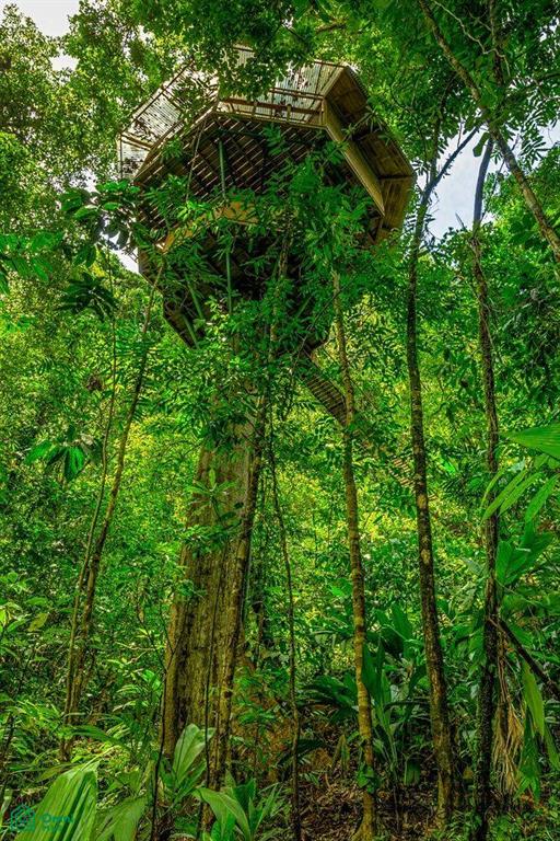 Incredible Turnkey Retreat Center and Sustainable Community , Piedras Blancas, Osa, Puntarenas