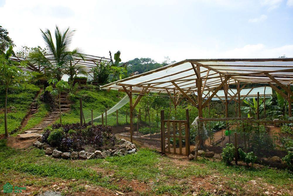 Incredible Turnkey Retreat Center and Sustainable Community , Piedras Blancas, Osa, Puntarenas